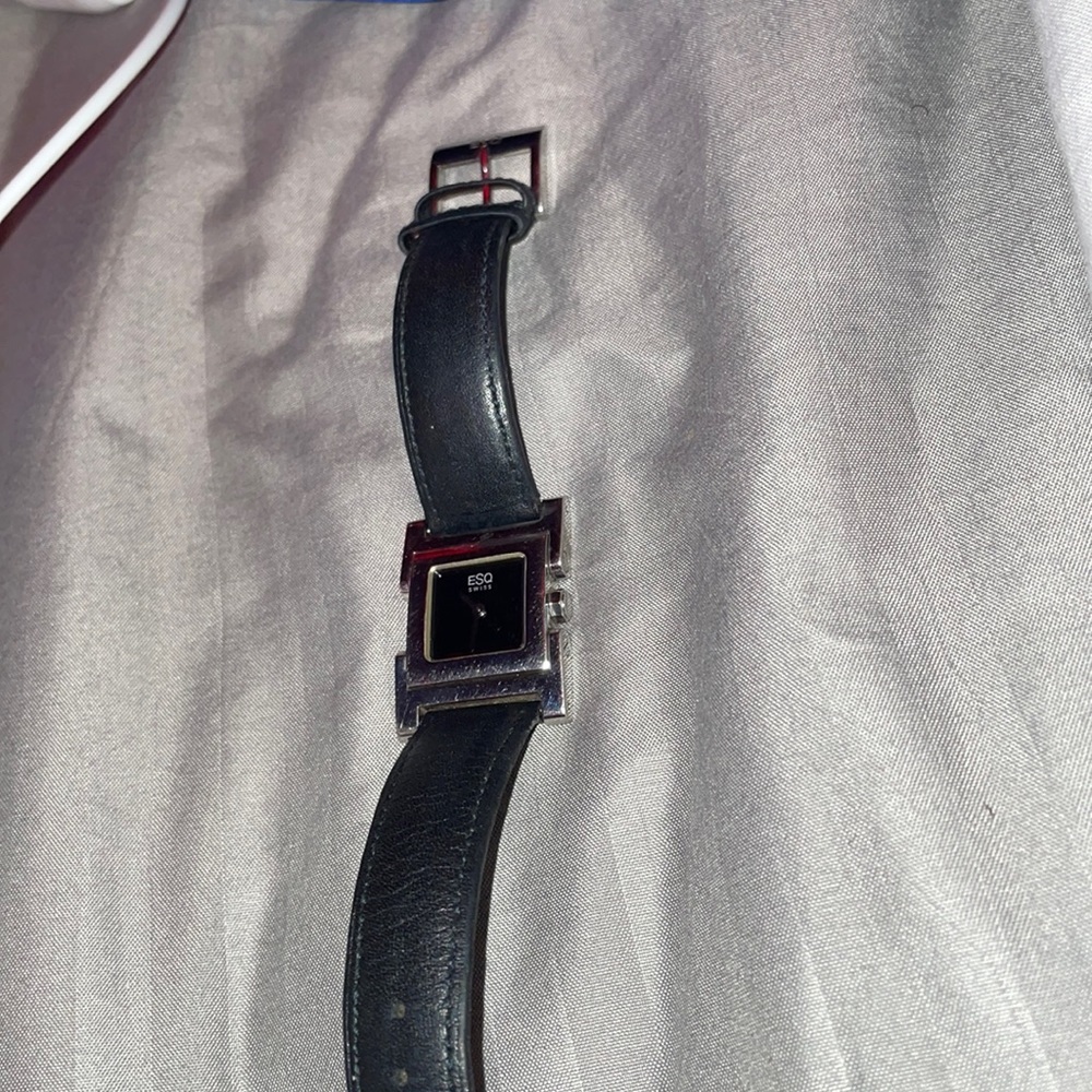 Skagan womans Watch